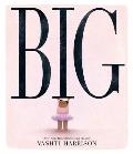 Big by Vashti Harrison