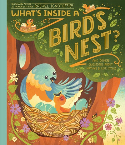 What's Inside A Bird's Nest?