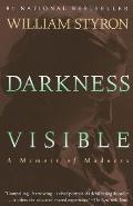 Darkness Visible by William Styron