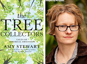 The Tree Collectors